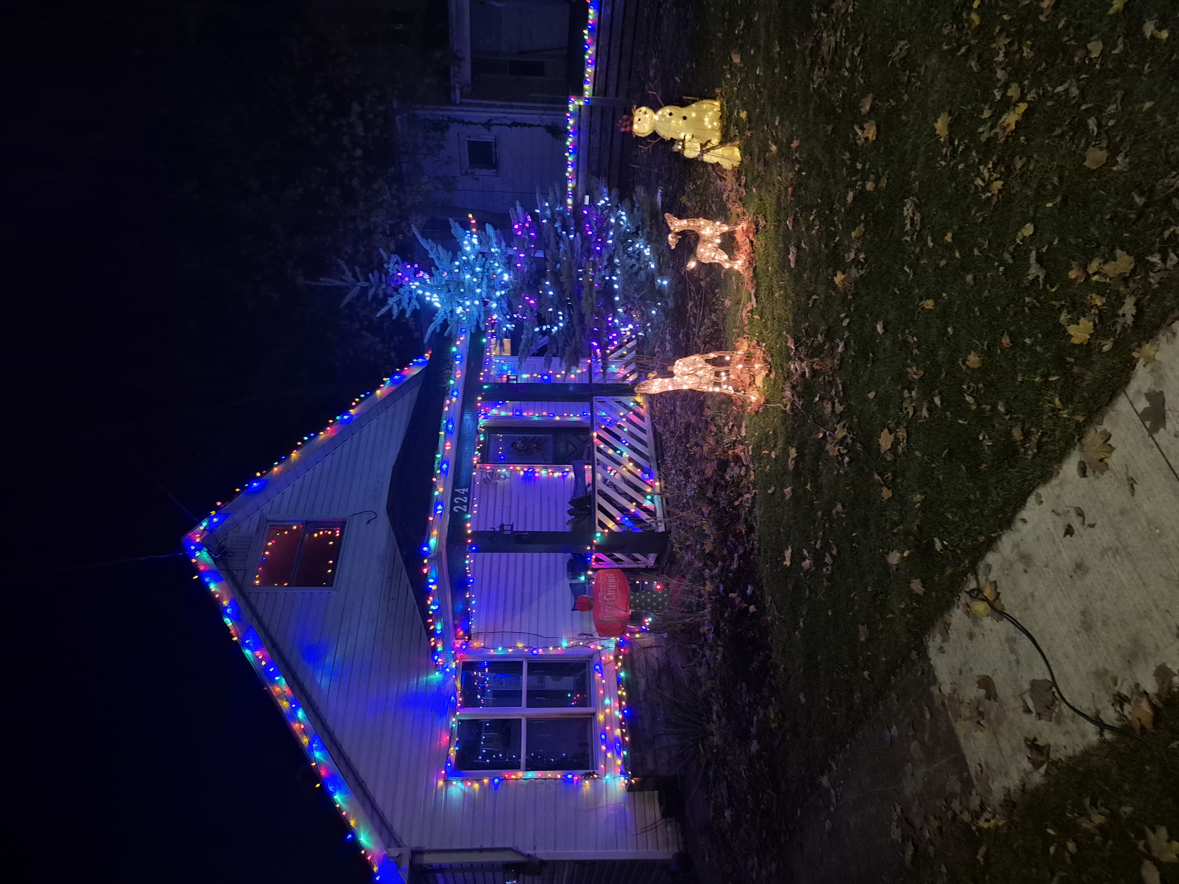 Holiday display